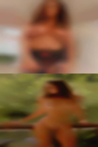 baugusbocchicchio, , 