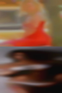 roxanneMill, horny housewife